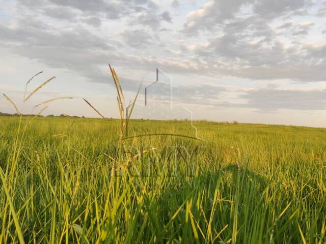 Venda em Zona Rural - Poconé