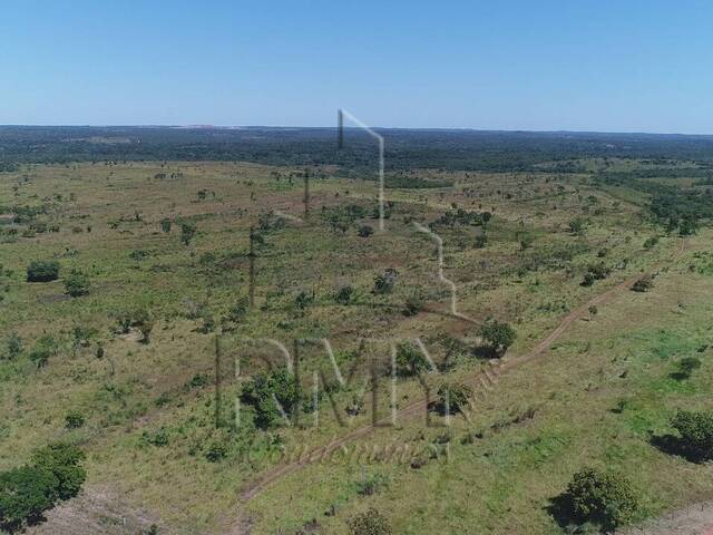 #MTONDO193 - Fazenda para Venda em Jangada - MT