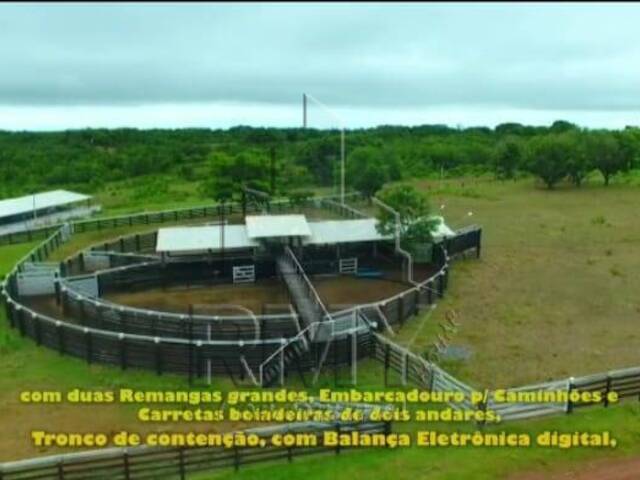 #PauloCesar - Fazenda para Venda em Cuiabá - MT - 1