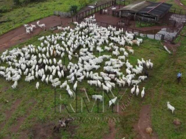 #Cleide - Fazenda para Venda em Cuiabá - MT - 1