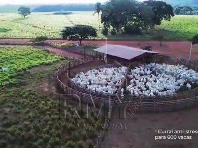 #Cleide - Fazenda para Venda em Cuiabá - MT - 1