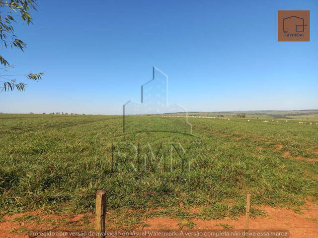 #PauloCesar - Fazenda para Venda em Cuiabá - MT - 1