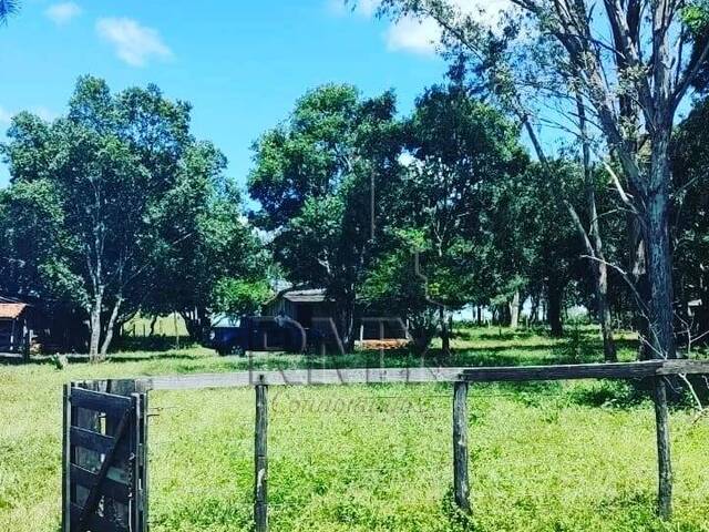 #PauloCesar - Fazenda para Venda em Cuiabá - MT - 1