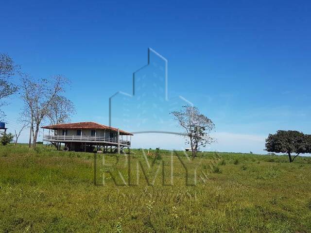 #PauloCesar - Fazenda para Venda em Cuiabá - MT - 1